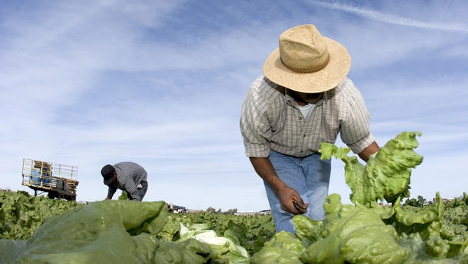 Yuma es el centro de producción agrícola para verduras en el invierno. Muchos de los campesinos mexicanos tienen una vista temporal de trabajo.