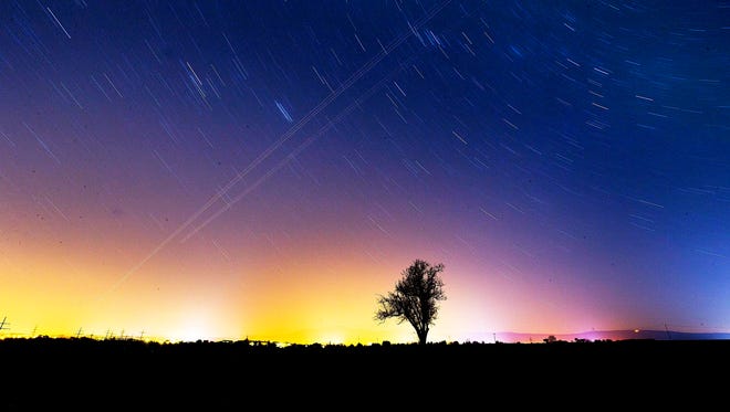 La imagen de exposici ó n a largo plazo muestra estrellas sobre un á rbol en un campo en Frankfurt, Alemania, el domingo 18 de noviembre de 2018.