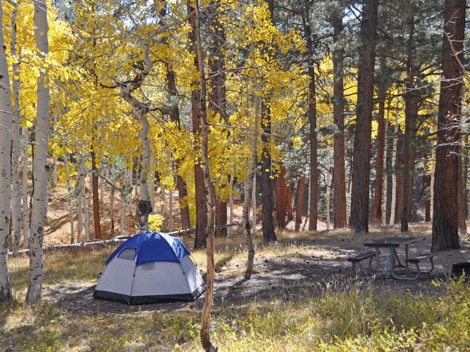 El campamento Grand Canyon North Rim está abierto desde mediados de mayo hasta mediados de octubre y es operado por el Servicio de Parques Nacionales.