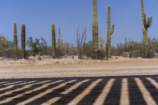 The construction site is seen from the Mexican side of the border. President Trump is building a 30-foot wall construction Organ Pipe Cactus National Monument in southern Arizona is sacred land for natives, and building a wall will ruin land and wildlife preservation.