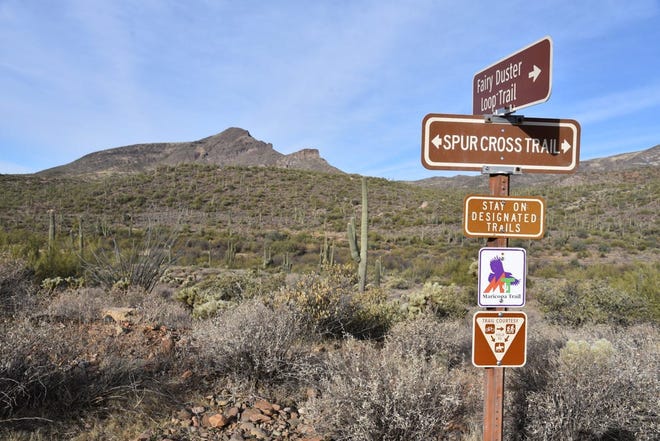 Elephant Mountain es una característica dominante en la caminata Spur Cross / Maricopa Trail.