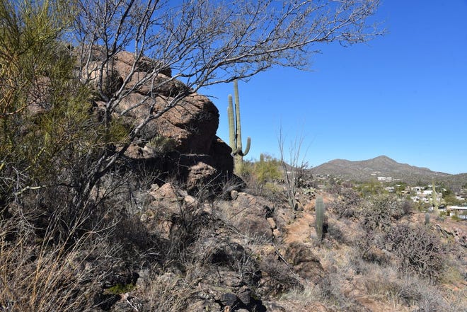 Tecolote Trail rodea la base de Enchanted Peak en Tucson.