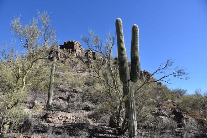 El sendero Fire 7 se acerca a la base de Enchanted Peak en Enchanted Hills Trails Park en Tucson.