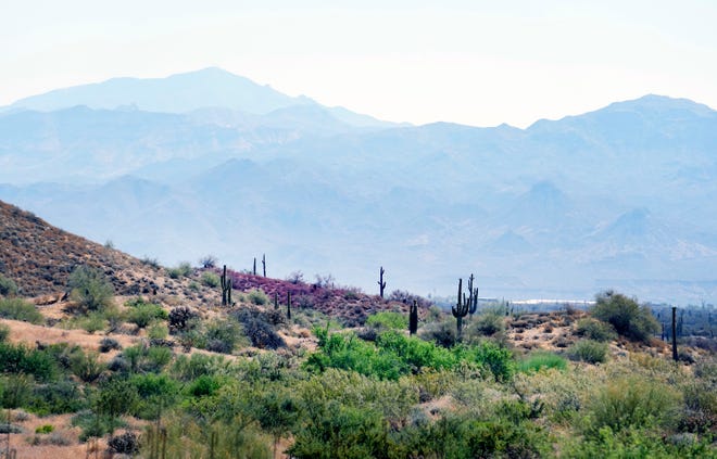 A ridgeline is covered in red fire retardant where the 2,500-acre Diamond Fire burned northeast Scottsdale on June 28, 2023.