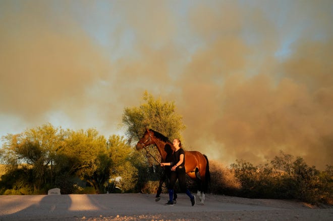 A horse is escorted away from the Diamond Fire as it burns south of Rio Verde Drive and 152nd Street northeast of Scottsdale on June 27, 2023.